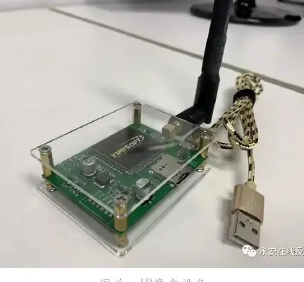 Figure 1 of the IP Box (page 57 of the original report)