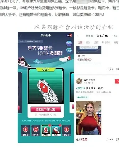 Case: “Shoe chaser” chart for profit from shoe card collection (page 111 of the original report)