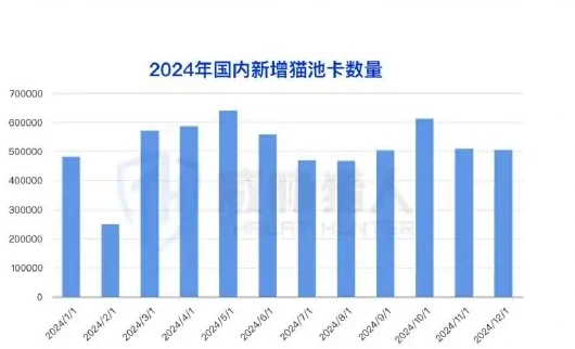 Figure 1 for resource analysis of SIM pool cards, 2024 (page 7 of the original report)