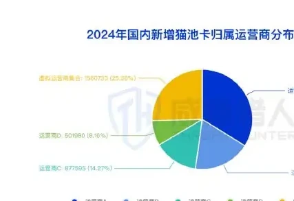 Resource analysis chart for 2024 for SIM pool card (page 11 of the original report)