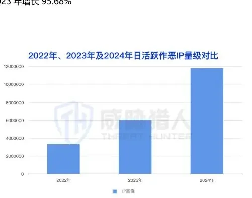 Analysis of domestic evils in 2024 IP resources (page 16 of the original report)