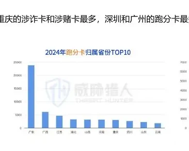 Analysis of Bank Card Resources Related to Money Laundering, 2024