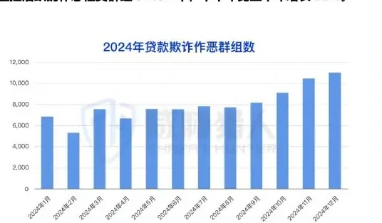 The risk of loan fraud remained high in 2024, with increasing fraud heat (page 52 of the original report)