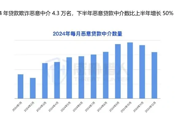 2024 Type hotness of loan fraud product Top3: Business Loans, Credits, Loans 2 (page 53 of the original report)