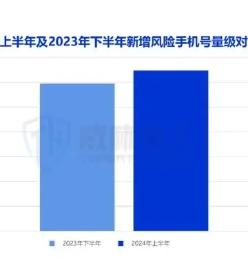2024 Risks in the first half of the year Total IP increased over the second half of the year 2023