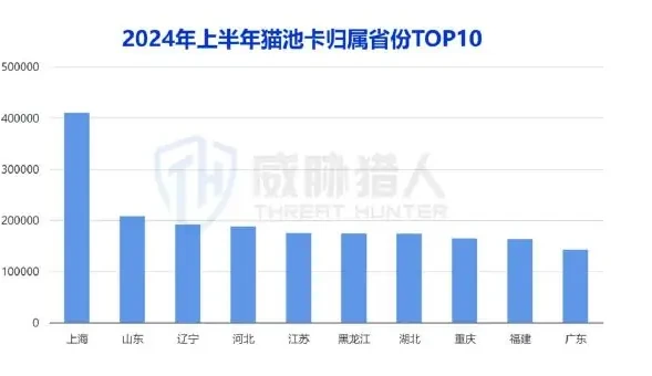 2024 Trends in resource changes in SIM pool cards in the first half of the year (page 12 of the original report)