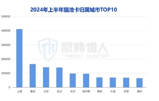 2024 Trends in resource changes in SIM pool cards for the first half of the year 1 (page 13 of the original report)