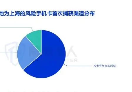 2024 Trends in resource changes in SIM pool cards for the first half of the year (page 13 of the original report)