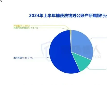 2024 Charts of changes in public account resources in the first half of the year related to money-laundering (page 26 of the original report)