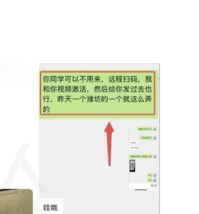 National Merchandise Ex situ Activation Chain Chart 1 (page 12 of the original report)