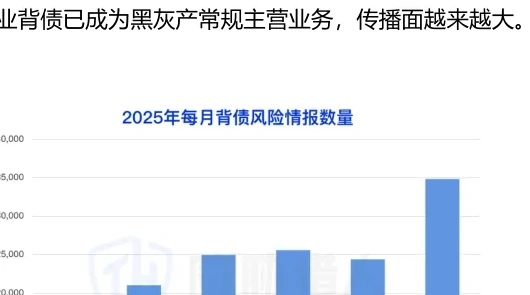 Monthly number of columns of occupational debt risk information in the first half of 2025 Figure