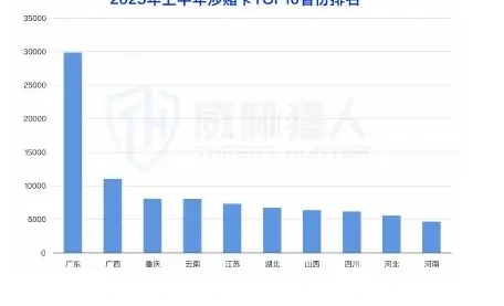 The first half of the year related to money-laundering bank cards compared to 2024.