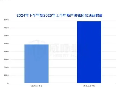 2025 Analysis of changes in business resources involved in money-laundering in the first half of the year (page 32 of the original report)