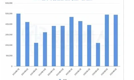 Traditional “marriage” push from black to stolen fraud chart 1 (page 44 of the original report)