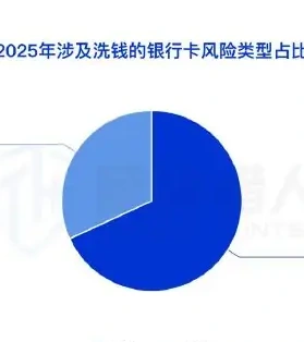 Analysis of Bank Card Resources Related to Money Laundering, 2025 (page 25 of the original report)
