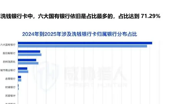 Analysis of Bank Card Resources Related to Money Laundering, 2025 (page 25 of the original report)