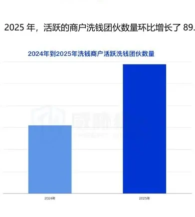 Analysis of changes in business resources related to money-laundering in 2025 (page 31 of the original report)
